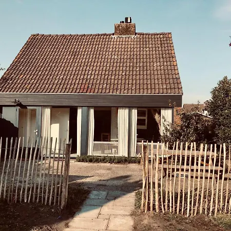 Clair De Lune Noordwijkerhout