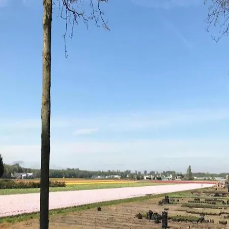 In Near Дом отдыха Нордвейкерхаут