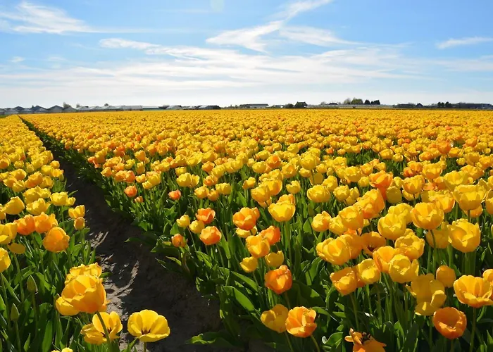 Holiday home In Near