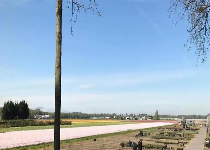 In Near Holiday home Noordwijkerhout