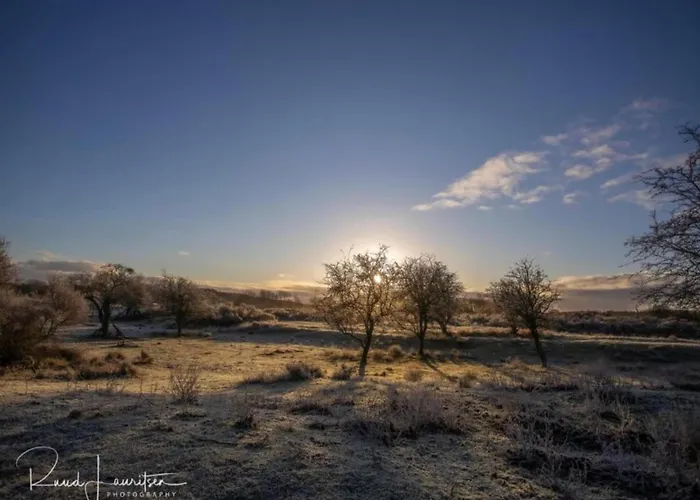 In Near * Noordwijkerhout