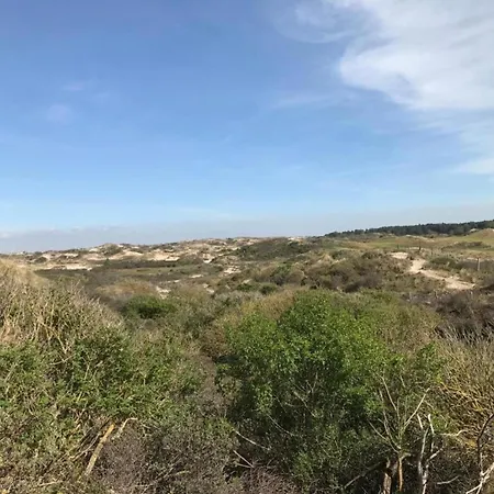 In Near Noordwijkerhout