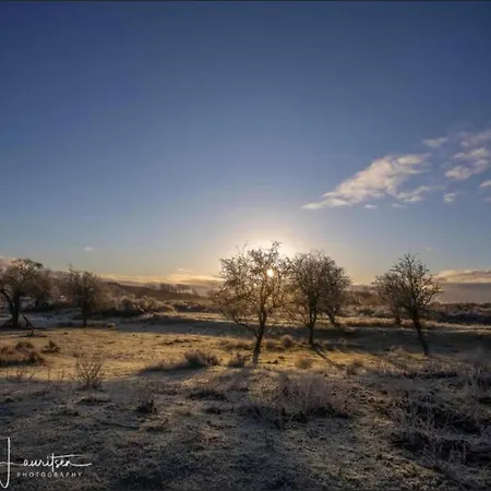 In Near * Noordwijkerhout