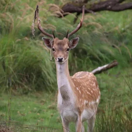 In Near Vakantiehuis