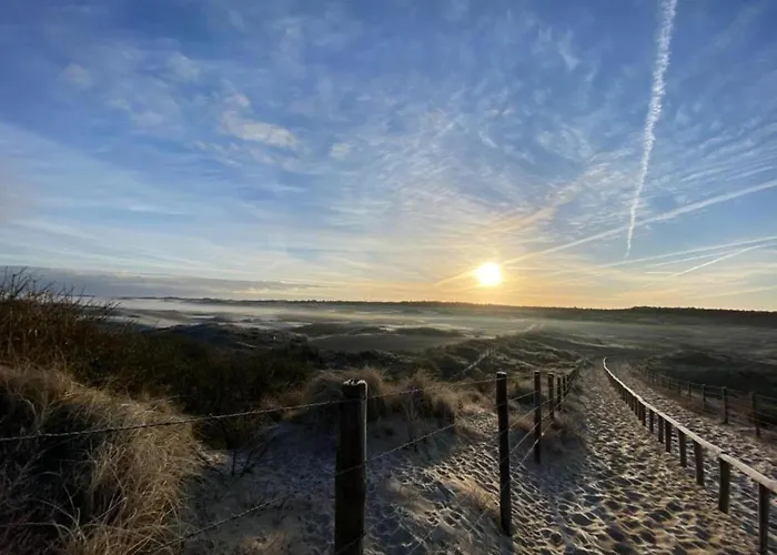 In Near Noordwijkerhout