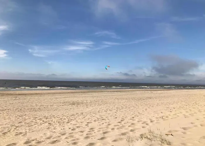 Vakantiehuis In Near Noordwijkerhout