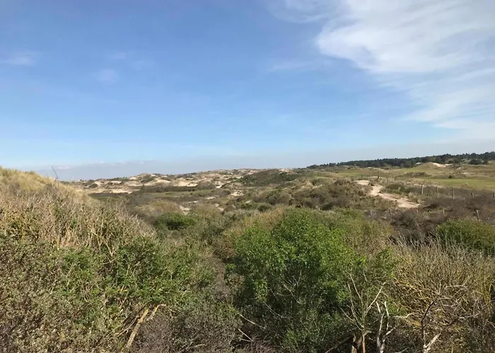 In Near Noordwijkerhout