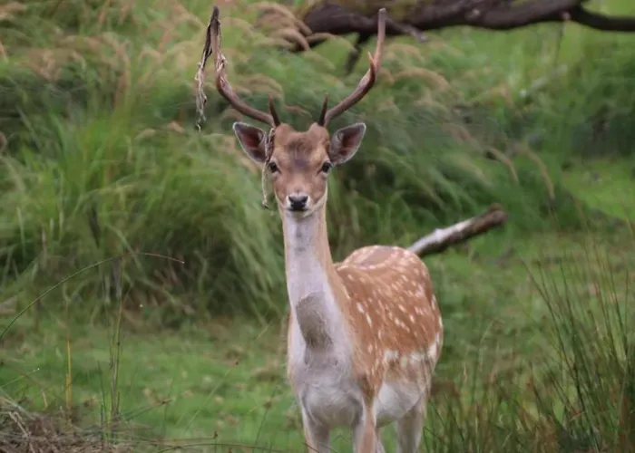 In Near Vakantiehuis