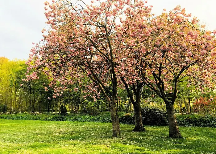 In Near Vakantiehuis